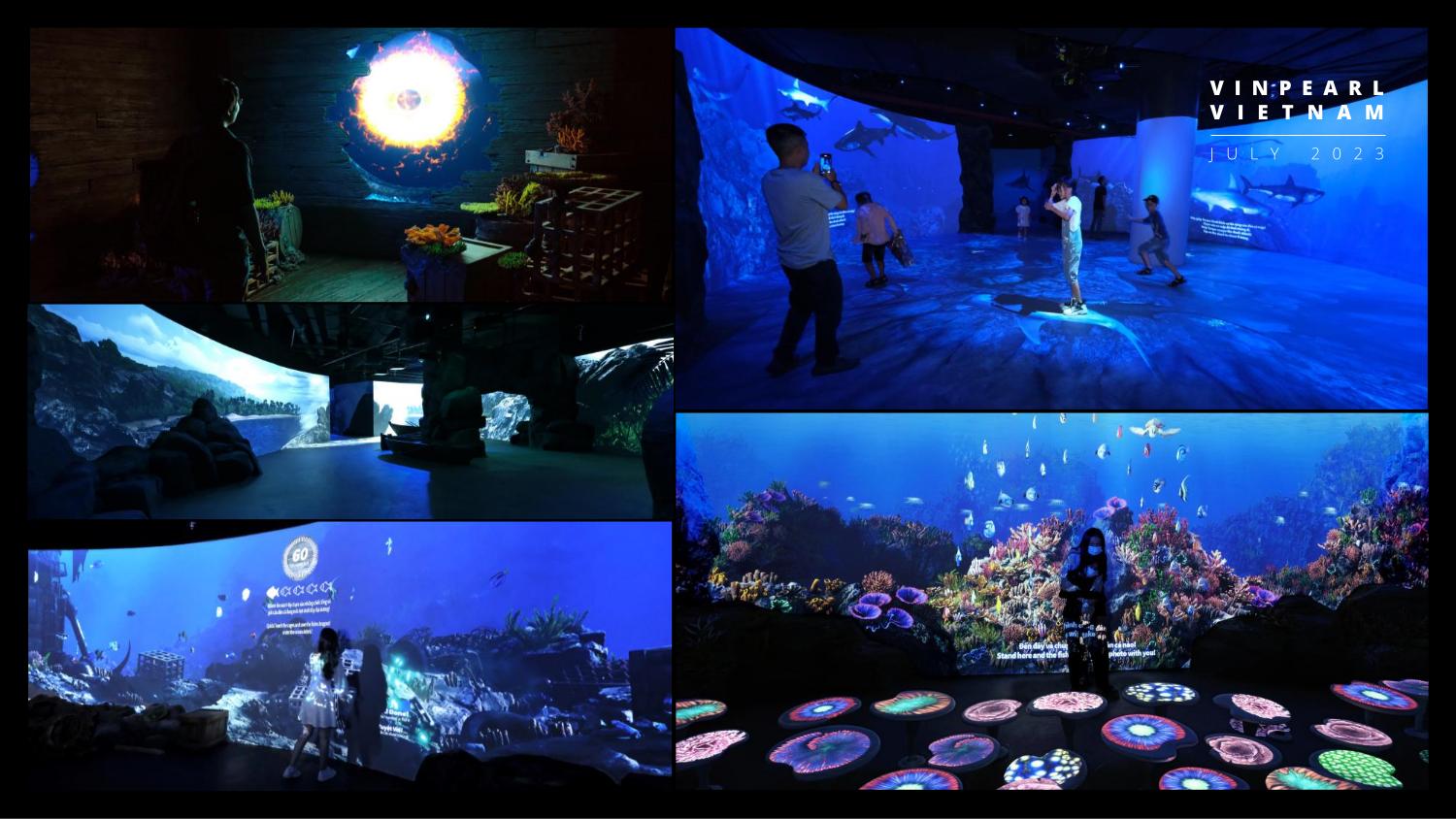 Showcase Project 9